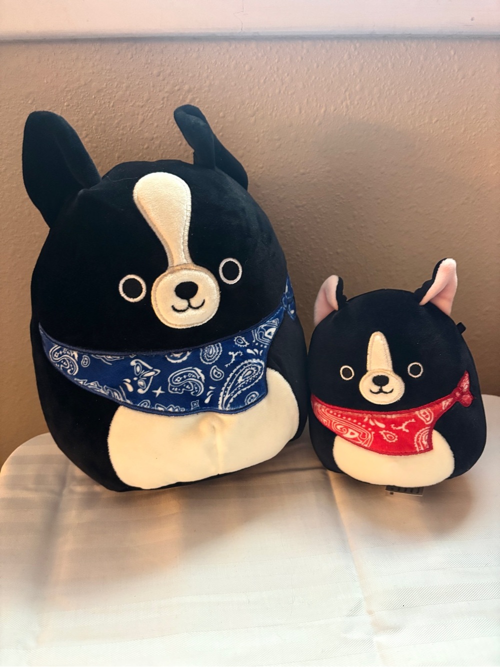 8” Tommy and 5” Teddy Squishmallow
